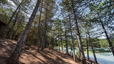 Çamlık Milli Parkı’nda piknik yapan vatandaşlara çağrı: Doğayı koruyalım, çöplerimizi