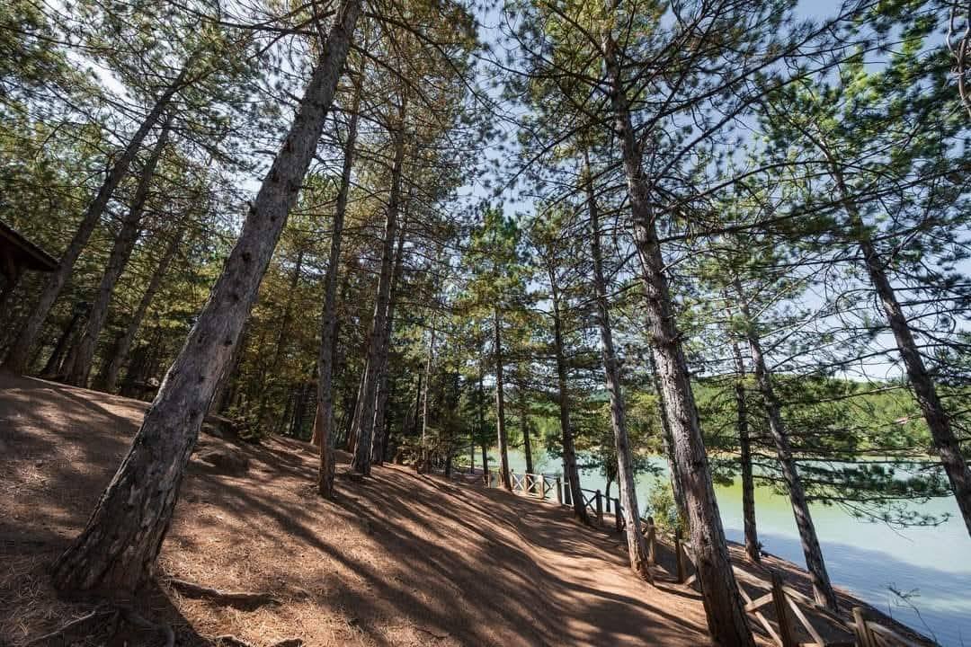 Çamlık Milli Parkı’nda piknik yapan vatandaşlara çağrı: Doğayı koruyalım, çöplerimizi