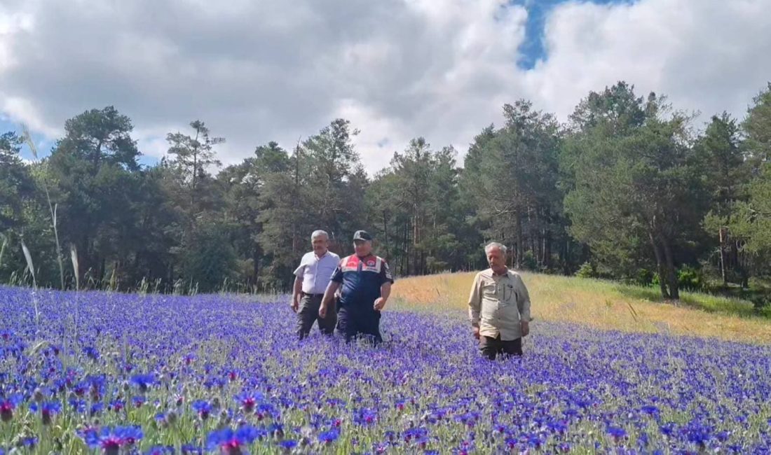 Yozgat İl Jandarma Komutanlığı HAYDİ Timi, Doğa Koruma ve Milli