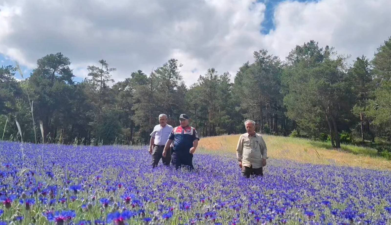 Yozgat İl Jandarma Komutanlığı HAYDİ Timi, Doğa Koruma ve Milli