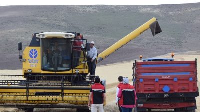 Yerköy ilçesine bağlı Kumluca köyünde ilk arpa hasadı yapıldı. Tarım