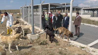Yozgat Valisi Mehmet Ali Özkan, 1000 hayvan kapasiteli Hayvan Bakım