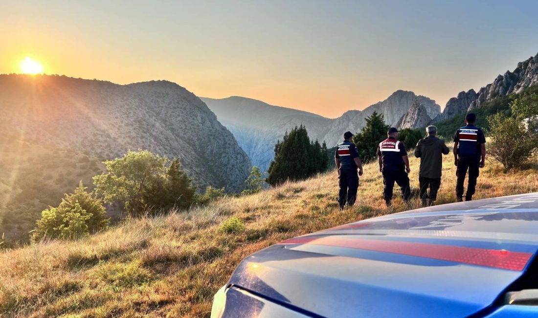 Yozgat Kazankaya Kanyonu’nda doğaya bırakılan dağ keçileri, jandarma ekipleri ve