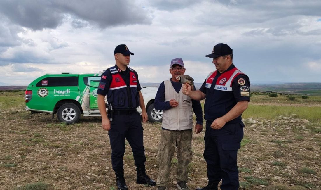 Yozgat İl Jandarma Komutanlığı’na bağlı ekipler, Yenifakılı ilçesinde devriye görevi