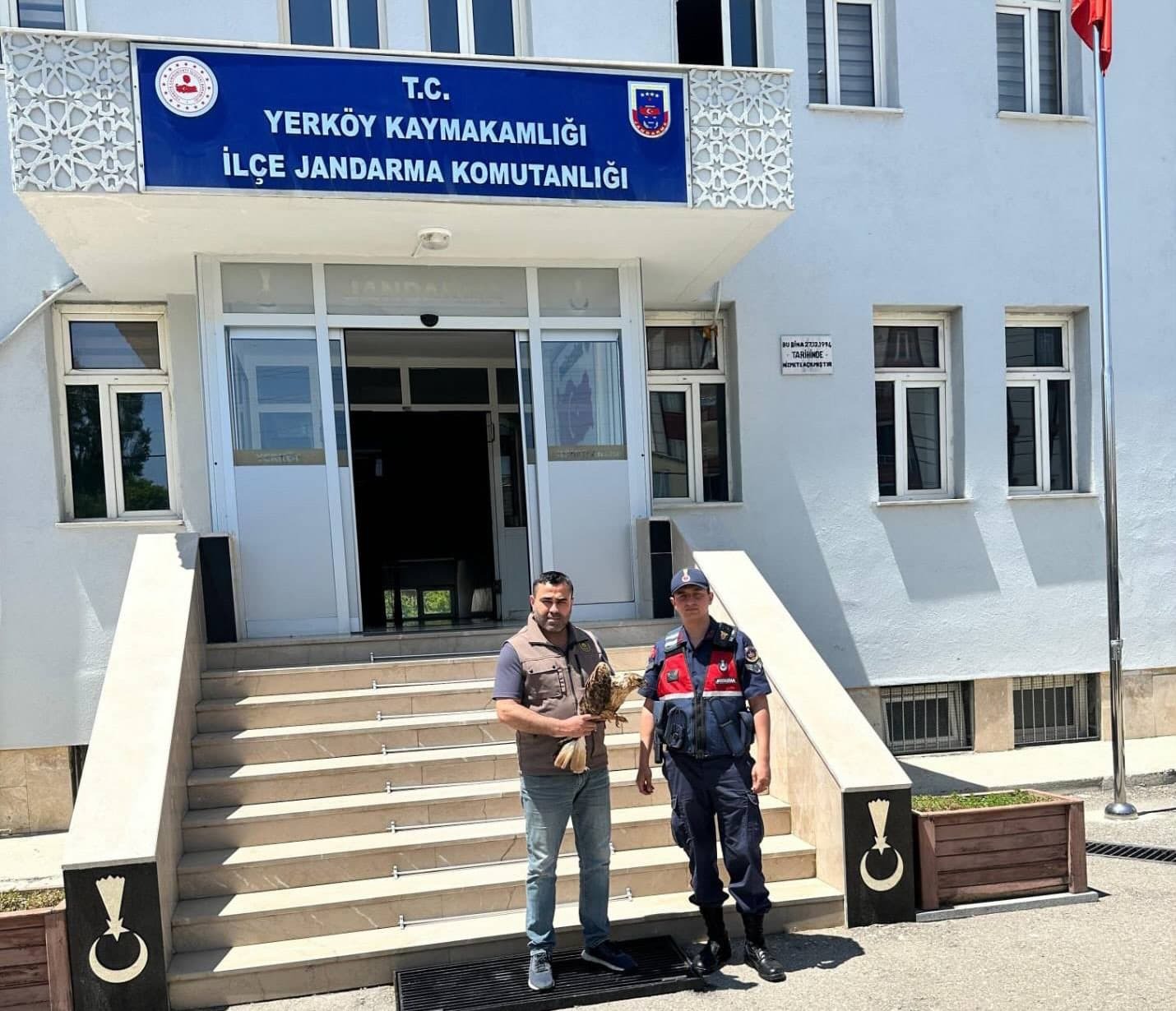 Yozgat'ın Yerköy ilçesinde jandarma ekipleri tarafından bulunan yaralı Kızıl Kuyruklu