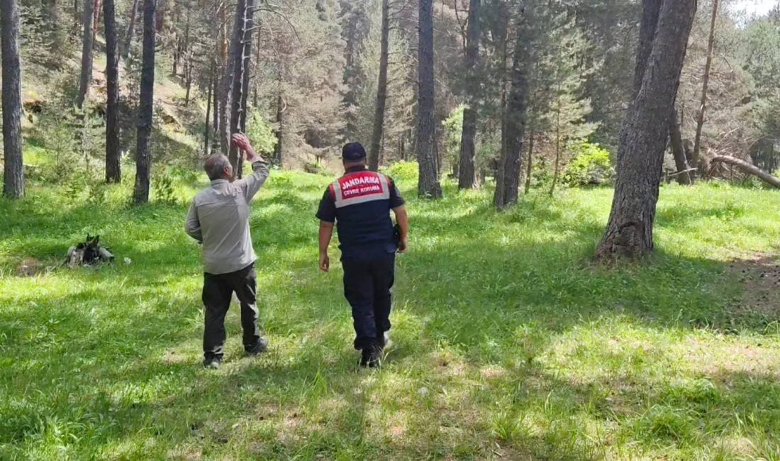Yozgat İl Jandarma Komutanlığı’na bağlı HAYDİ Timi, Akdağmadeni İlçe Jandarma