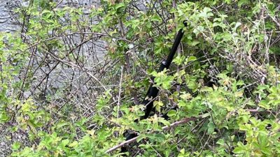 Yozgat İl Jandarma Komutanlığı ekipleri, Sorgun ilçesinde gerçekleştirdikleri devriye sırasında