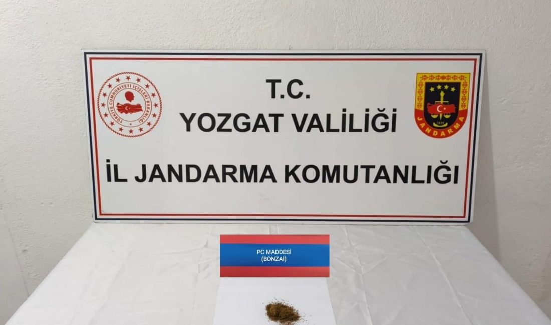 Yozgat Sorgun’da jandarma ekipleri, istihbari çalışma sonucu uyuşturucu operasyonu düzenledi.


