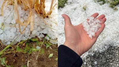 Yozgat’ta etkili olan sağanak ve dolu yağışı, 7 ilçede tarım
