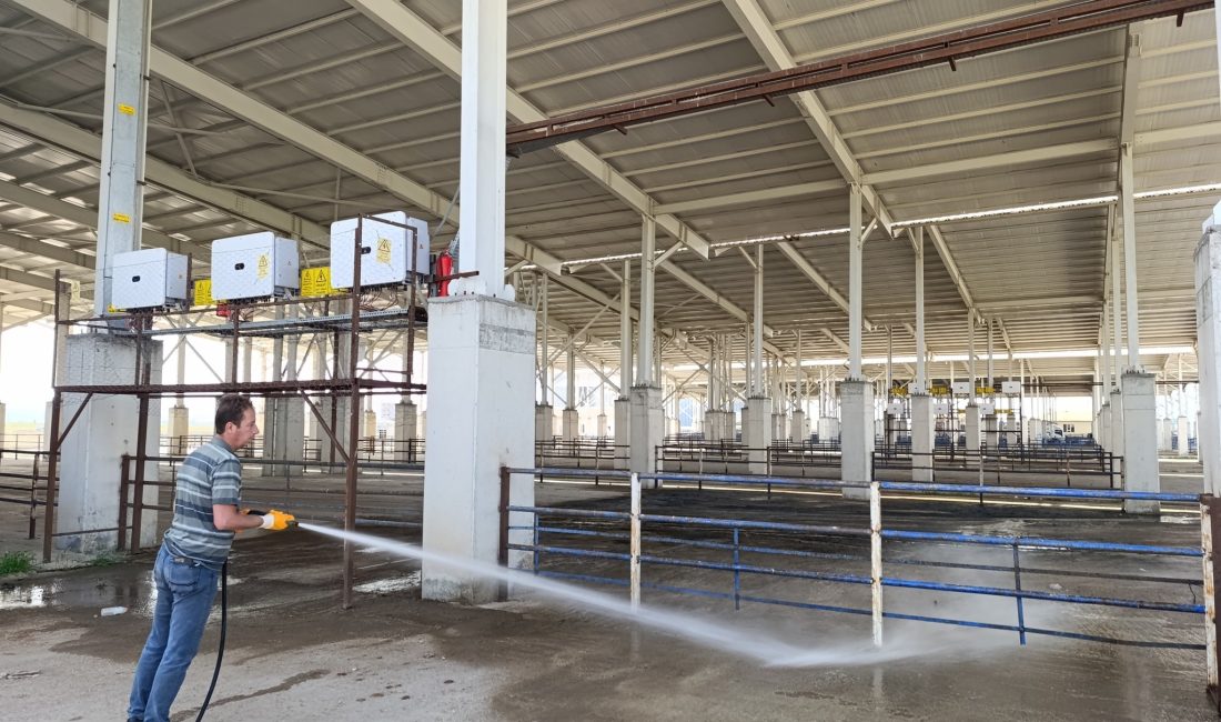 Boğazlıyan Belediyesi, Kurban Bayramı öncesi Hayvan Pazarı’nı 24 saat açık