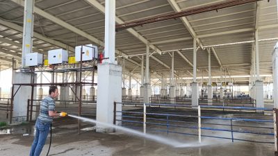 Boğazlıyan Belediyesi, Kurban Bayramı öncesi Hayvan Pazarı’nı 24 saat açık