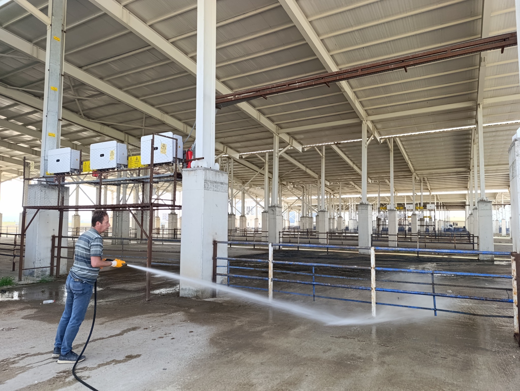 Boğazlıyan Belediyesi, Kurban Bayramı öncesi Hayvan Pazarı’nı 24 saat açık