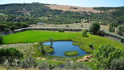 Doğu Anadolu’nun incisi Bingöl, eşsiz doğal güzellikleriyle keşfedilmeyi bekliyor. Özellikle