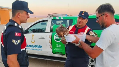 Yozgat jandarma ekipleri, Yenipazar’da yaralı bulunan şahini koruma altına alarak