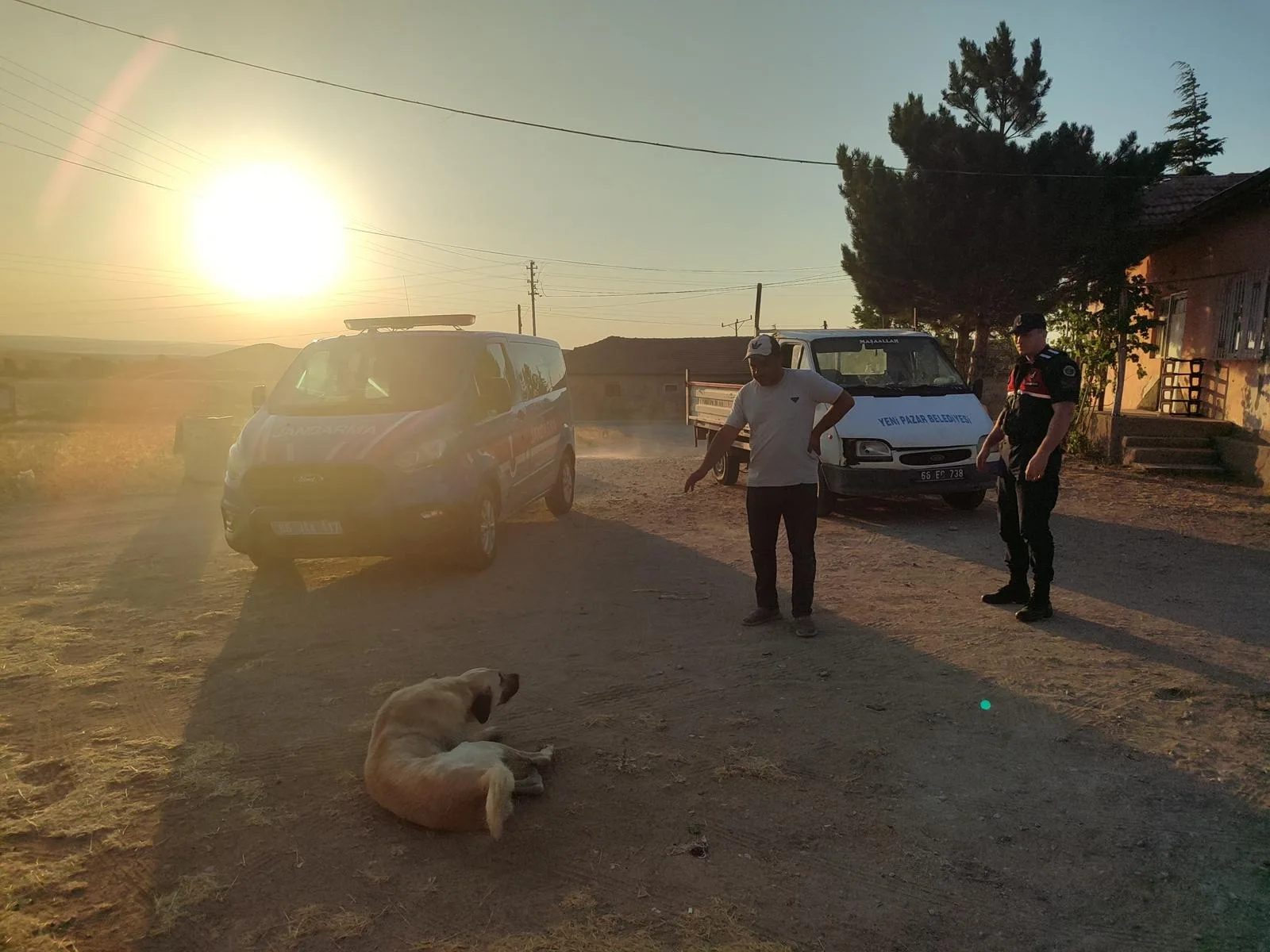 Yozgat’ın Yenipazar Beldesi’nde sokakta oynayan 8 yaşındaki çocuk, başıboş bir