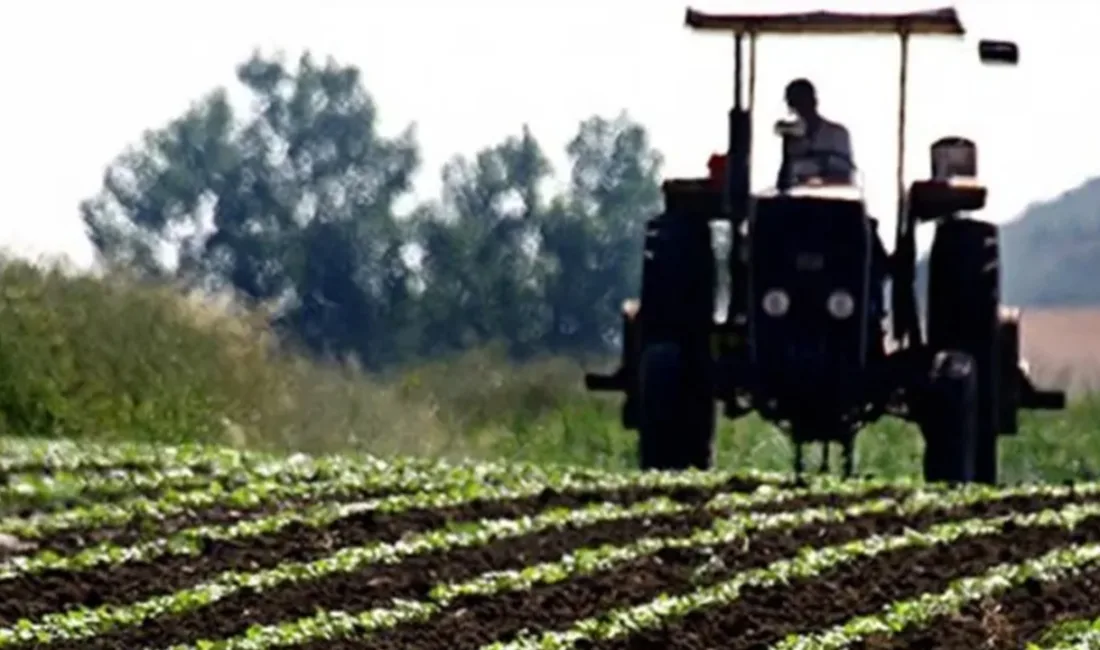 Tarım ve Orman Bakanı İbrahim Yumaklı, toplam 1 milyar 522