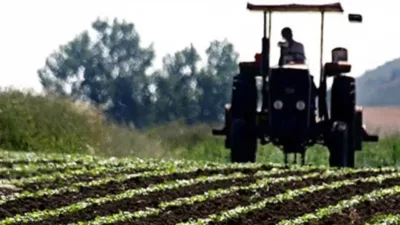 Tarım ve Orman Bakanı İbrahim Yumaklı, toplam 1 milyar 522
