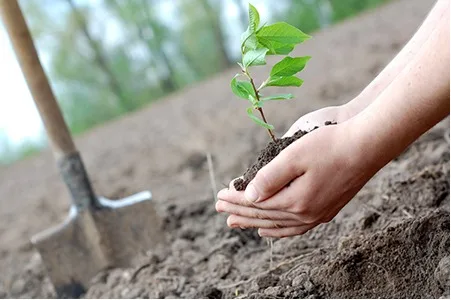 Boğazlıyan Cumhuriyet Başsavcısı Fatih Soydoğan, 11 Kasım Milli Ağaçlandırma Günü’nde
