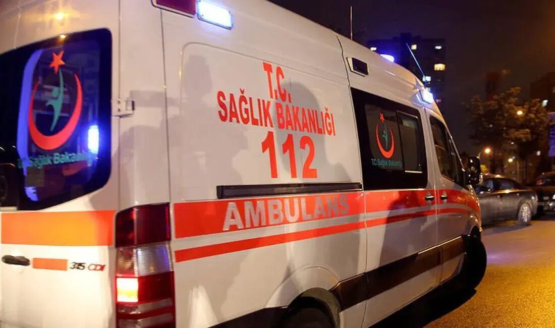 Karabük'ün Yenice ilçesinde asfalt çalışması sırasında bir kamyon damperinin elektrik