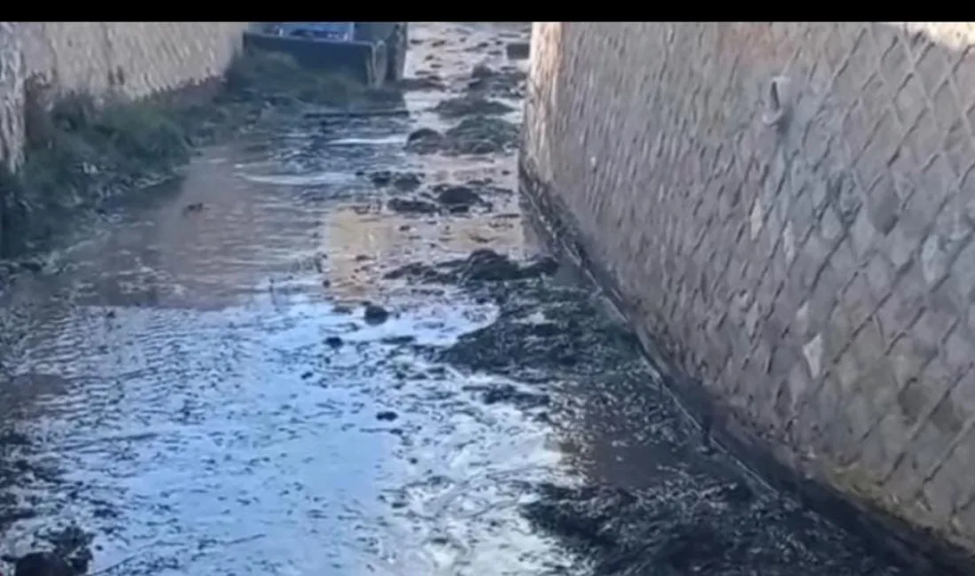 Saraykent Belediyesi, kış ayları yaklaşmadan dere ve kanal temizleme çalışmalarını