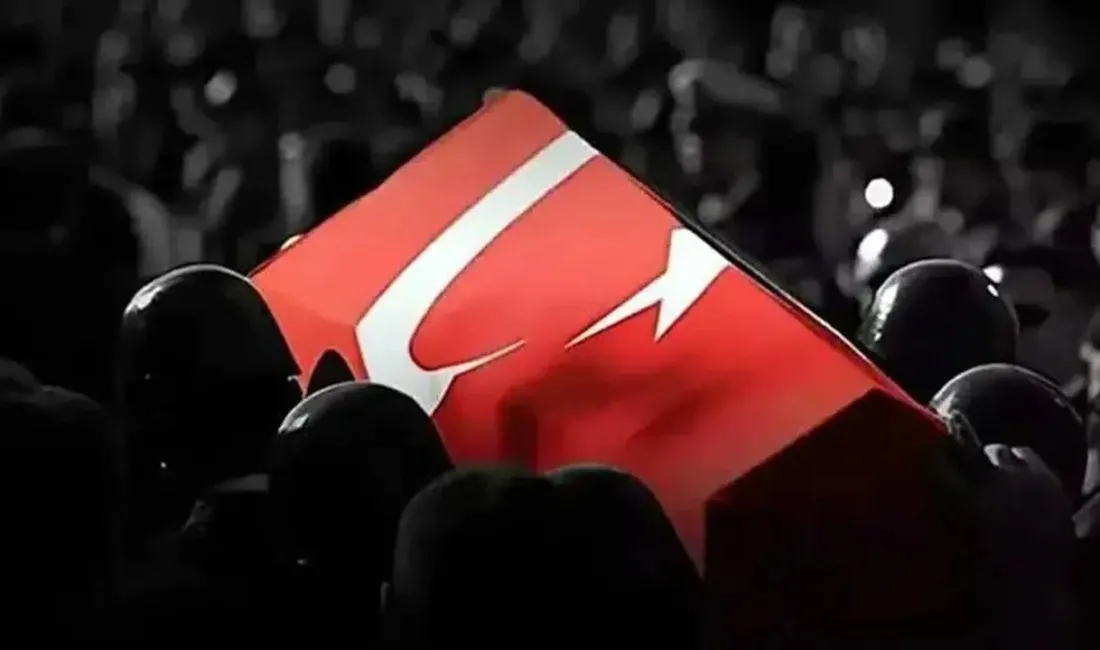 Türk Silahlı Kuvvetleri’ne ait askeri kargo uçağının Gürcistan'da düşmesi sonucu