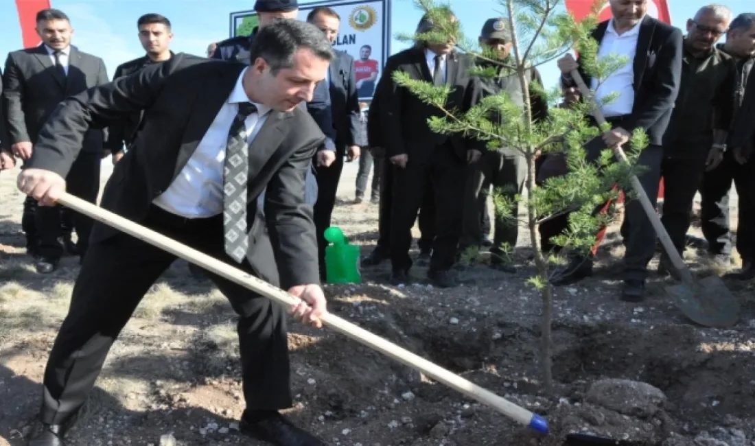 23 Temmuz 2025'te Eskişehir Seyitgazi'de orman yangınını söndürürken şehit olan