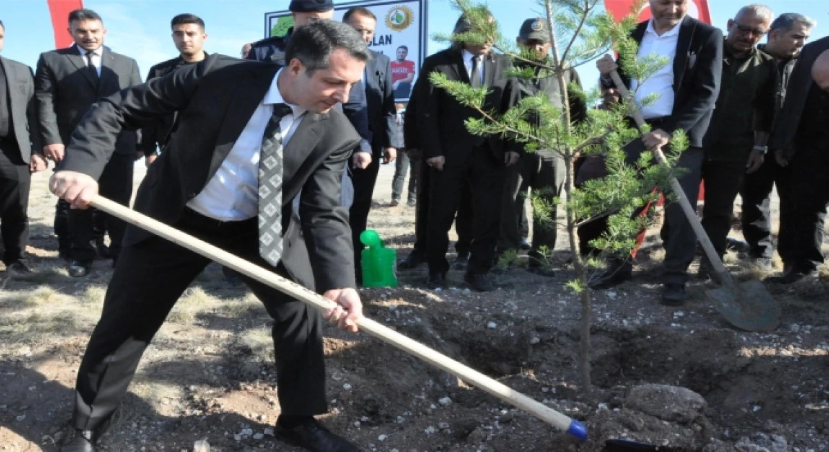 23 Temmuz 2025'te Eskişehir Seyitgazi'de orman yangınını söndürürken şehit olan