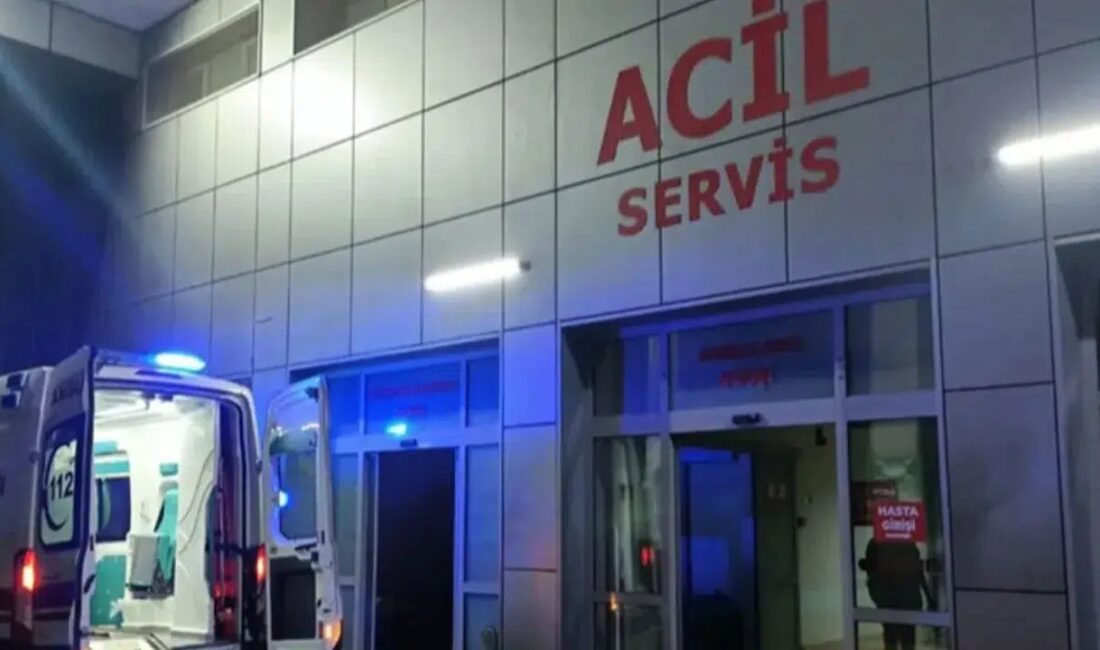 Bir villada kalan Filistin uyruklu iki arkadaş, odalarında hareketsiz bulundu.