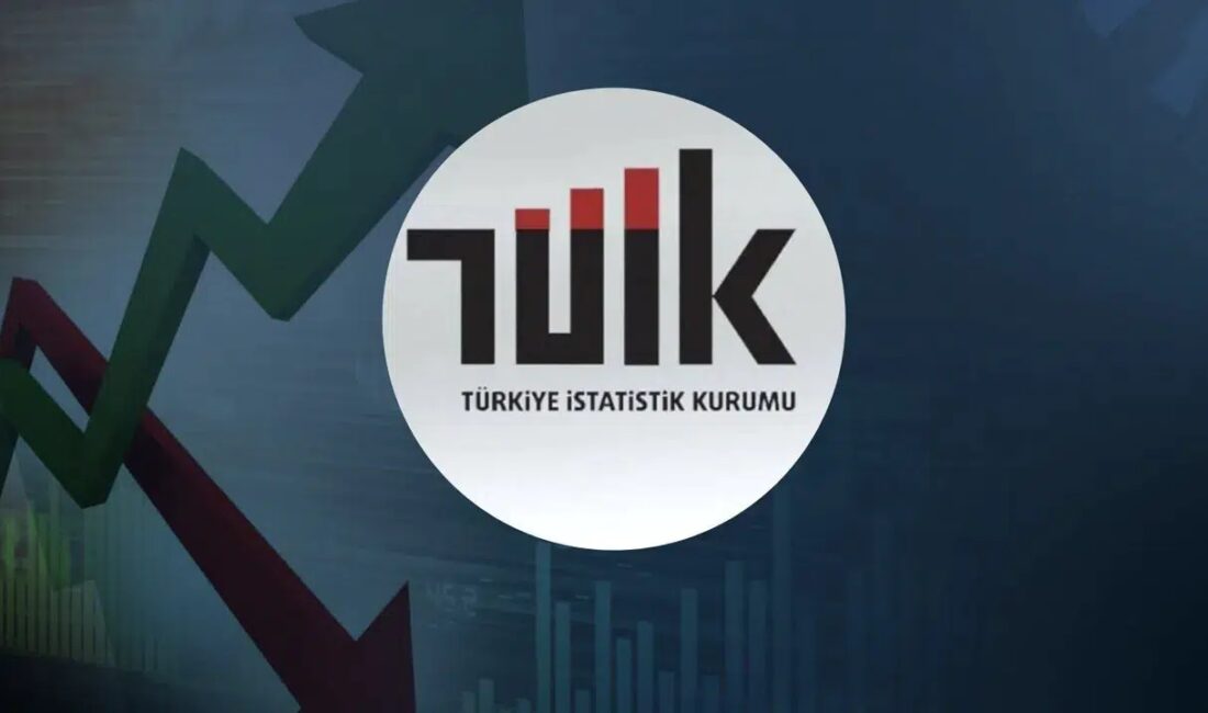 Türkiye İstatistik Kurumu (TÜİK), 2024 yılına ait Atık İstatistikleri Raporu’nu
