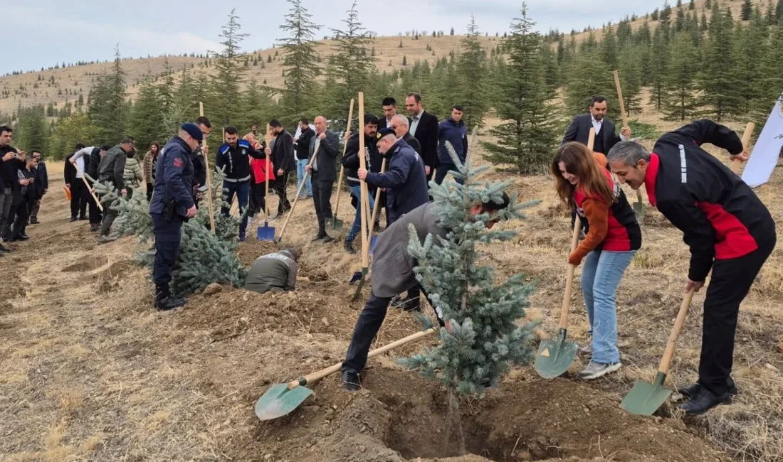 Yerköy İlçe Tarım ve Orman Müdürlüğü, 11 Kasım Milli Ağaçlandırma