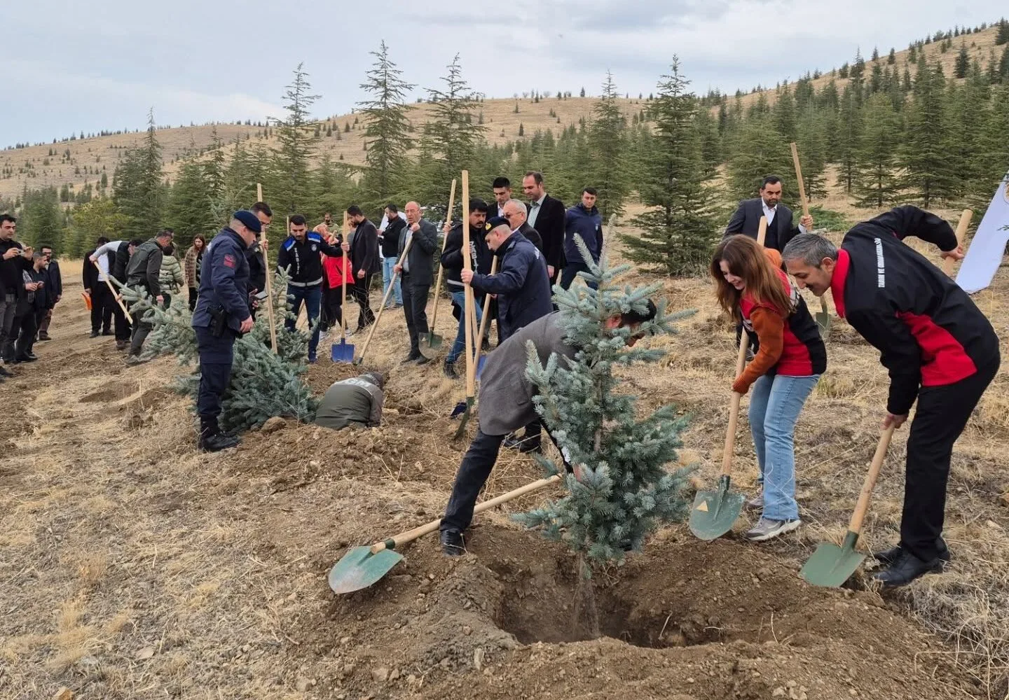 Yerköy İlçe Tarım ve Orman Müdürlüğü, 11 Kasım Milli Ağaçlandırma