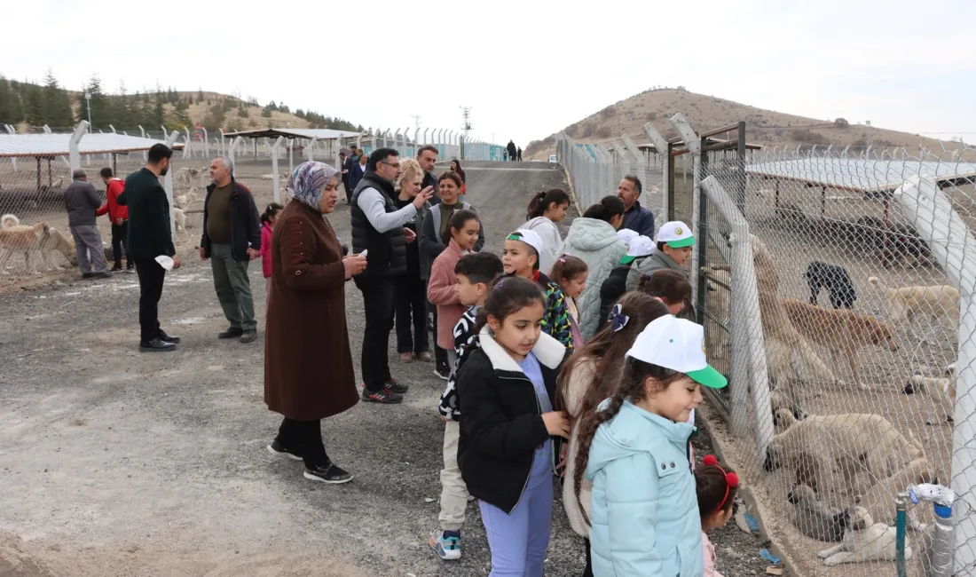 Yerköy ilçesinde tamamlanan modern Hayvan Bakımevi, eğitimciler ve protokol üyelerinin