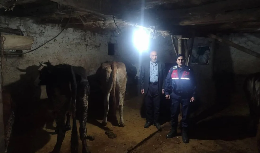 Yozgat’ın Sorgun ilçesinde, M.E. isimli bir vatandaş, köyündeki 5 büyükbaş