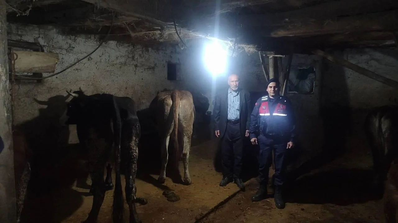 Yozgat’ın Sorgun ilçesinde, M.E. isimli bir vatandaş, köyündeki 5 büyükbaş