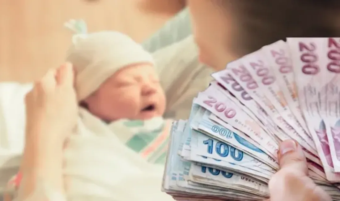 Güncellenen doğum yardımında en yüksek pay yüzde 41,7 ile birinci