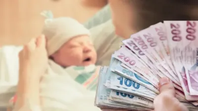 Güncellenen doğum yardımında en yüksek pay yüzde 41,7 ile birinci