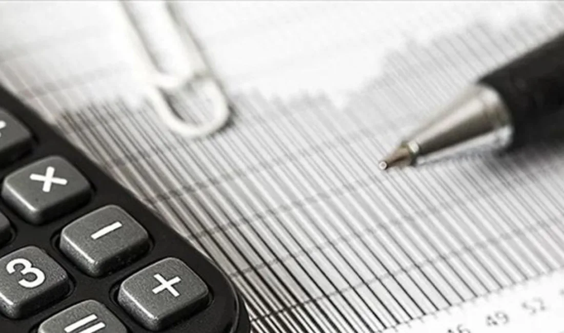 yılı için vergi, harç ve cezalara planlanan yüzde 25,49 oranındaki