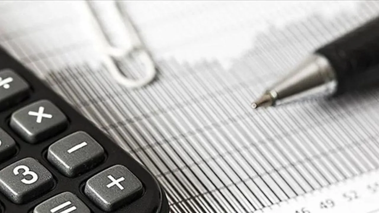 yılı için vergi, harç ve cezalara planlanan yüzde 25,49 oranındaki