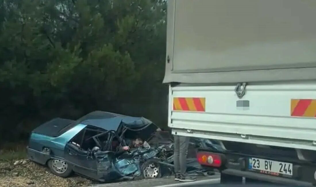 Bir kamyonet ile otomobilin kafa kafaya çarpıştığı kazada 2 kişi