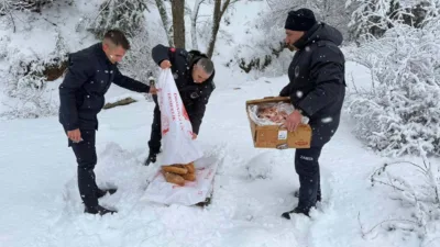 Yozgat'ta etkili olan yoğun kar yağışı nedeniyle yiyecek bulmakta zorlanan