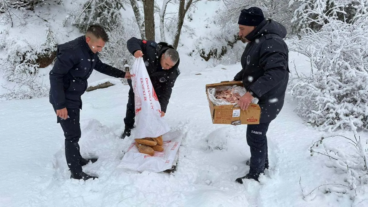 Yozgat'ta etkili olan yoğun kar yağışı nedeniyle yiyecek bulmakta zorlanan