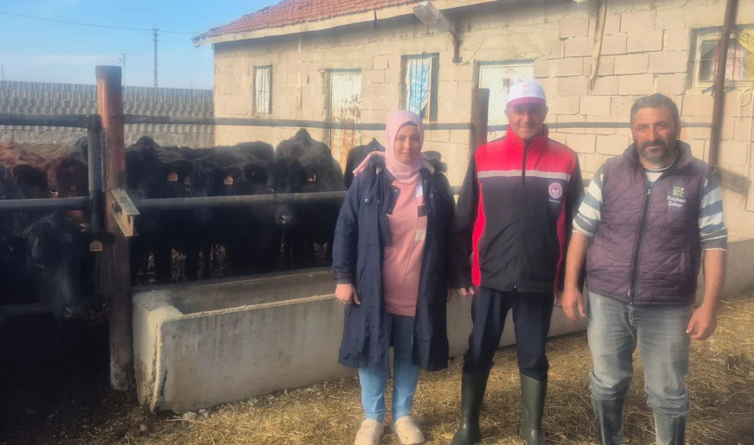 Tarım ve Orman Bakanlığının “Kırsalda Bereket Projesi” kapsamında, etçi ırk