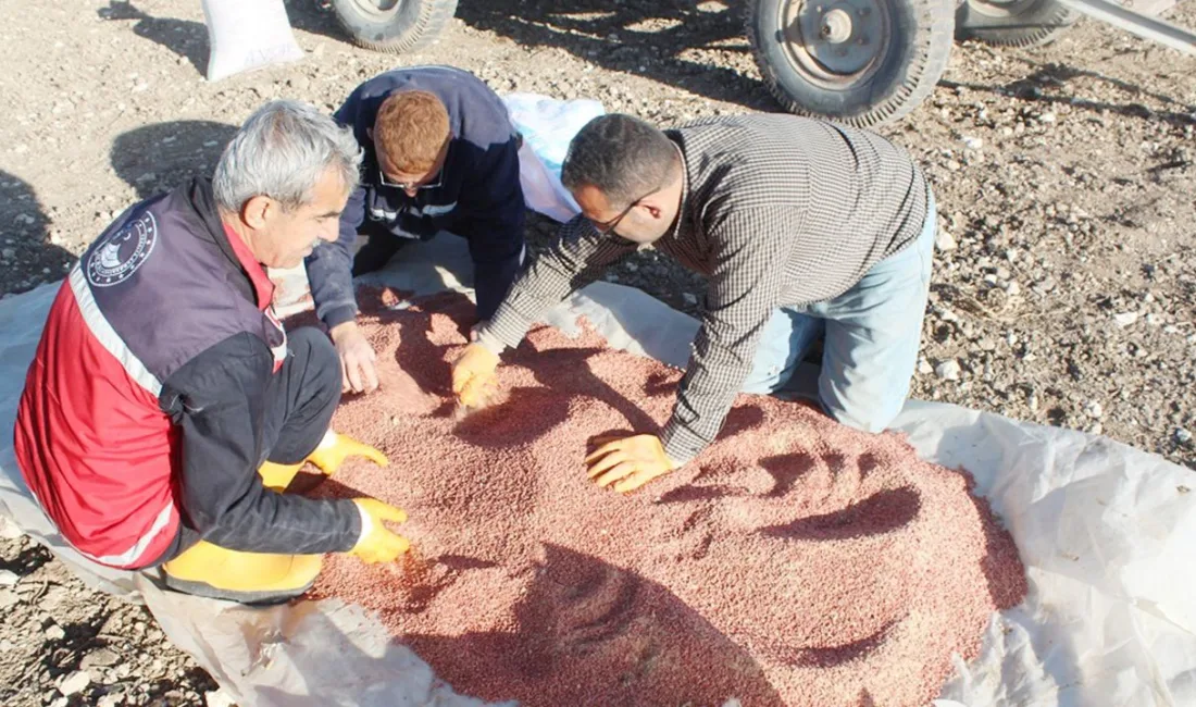 Yozgat Merkez İlçesi'ne bağlı iki köyde, kuraklıkla mücadele ve tarımsal