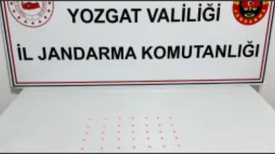 Yozgat'ta düzenlenen uyuşturucu operasyonunda bir şüpheli gözaltına alındı, 35 sentetik
