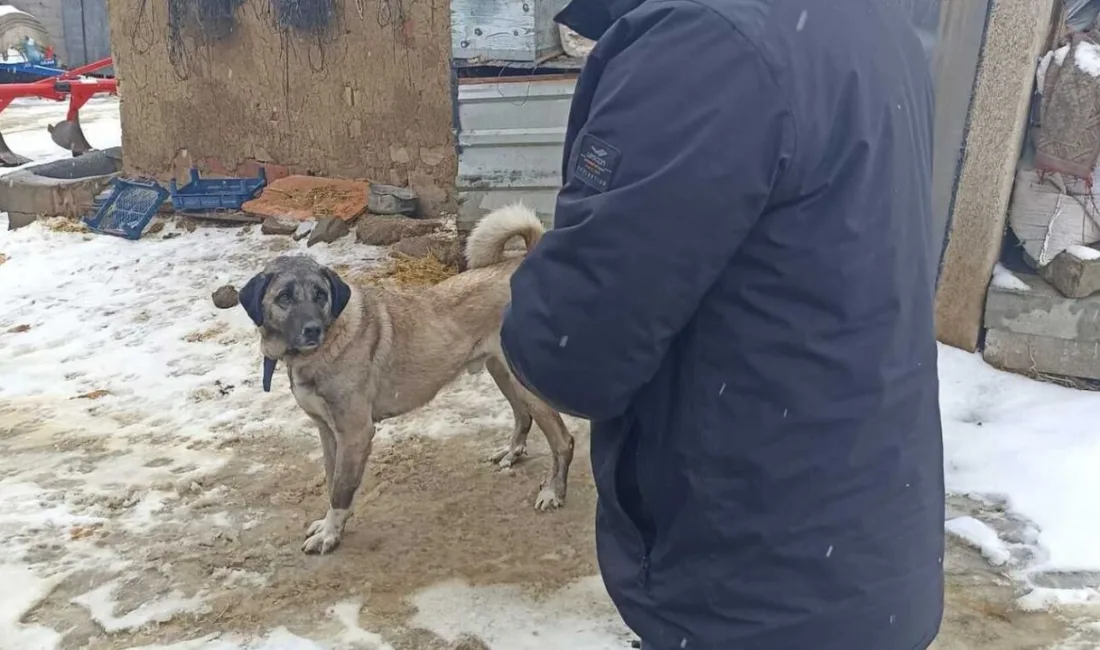 Yozgat Valiliği, sayılı Hayvanları Koruma Kanunu çerçevesinde yürütülen mikroçip uygulamasının