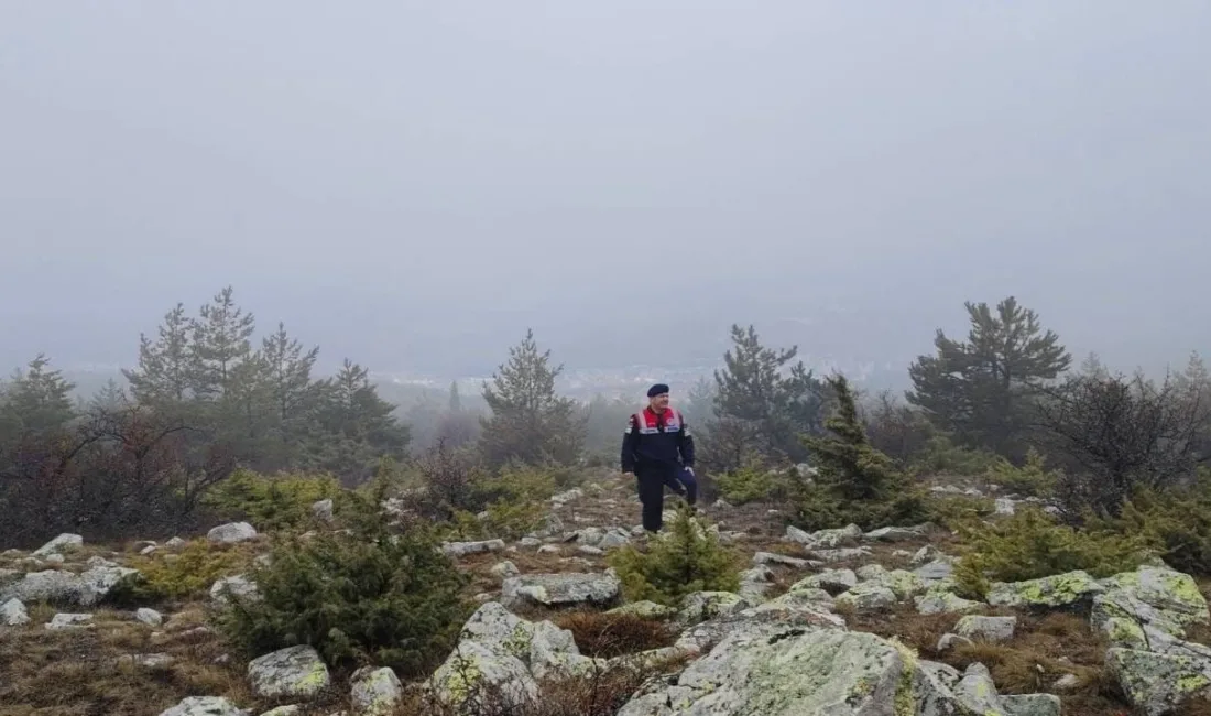 Yozgat'ta gerçekleşen ilginç bir operasyon, kış şartlarının zorladığı yaban hayvanları