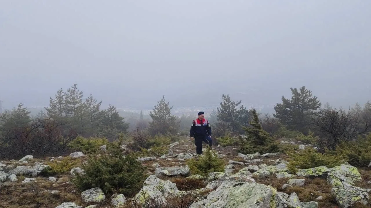 Yozgat'ta gerçekleşen ilginç bir operasyon, kış şartlarının zorladığı yaban hayvanları