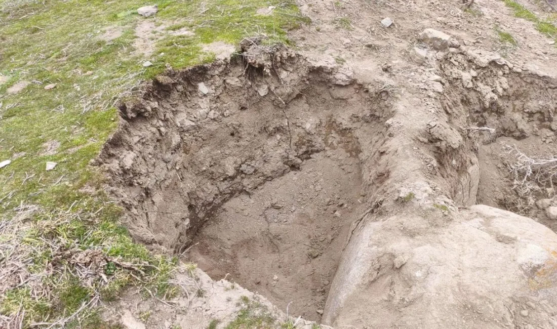 Yozgat'ta jandarma ekipleri, kaçak kazı yapan 5 kişiyi suçüstü yakaladı