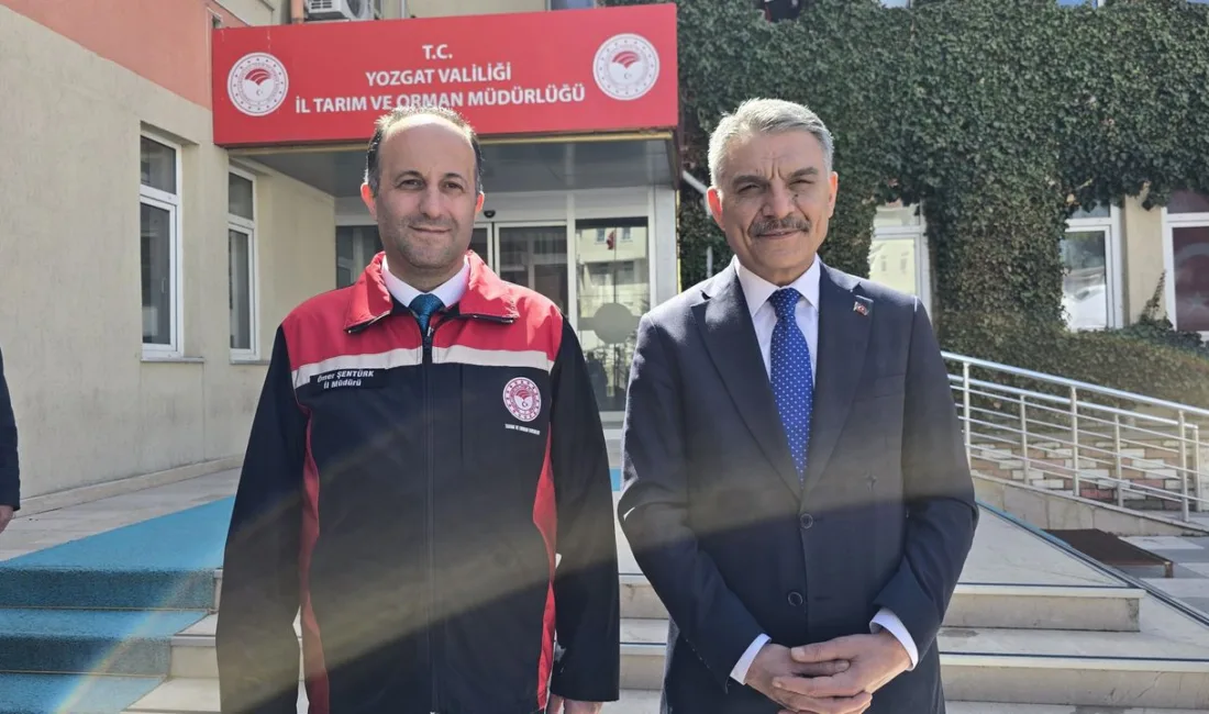 Yozgat'ta sokak hayvanlarının beslenmesine destek olmak amacıyla günlük 1.500 kilogram