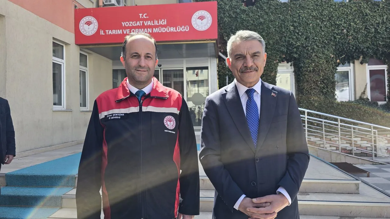 Yozgat'ta sokak hayvanlarının beslenmesine destek olmak amacıyla günlük 1.500 kilogram